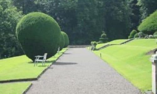 Le stagioni della potatura: a Napoli consulta la ditta di Giardinaggio!