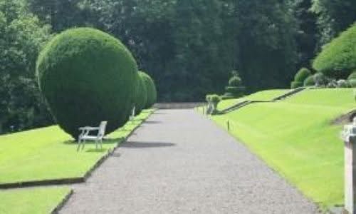 Le stagioni della potatura: a Napoli consulta la ditta di Giardinaggio!