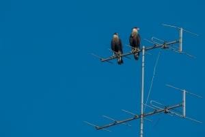 Antennista a Catania? Qui trovi risposte ai tuoi problemi!